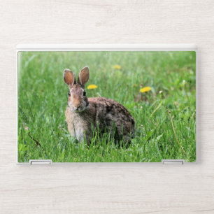 Bunny HP Laptop Skin