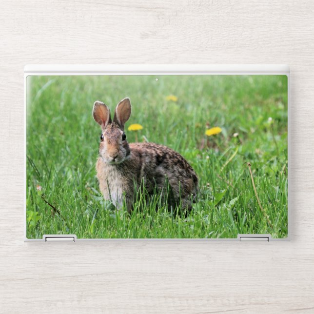 Bunny HP Laptop Skin (Front)