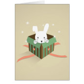 Bunny in a gift box (Front)