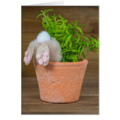 Bunny in Flower Pot Cards (Front)
