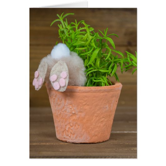Bunny in Flower Pot  Cards (Front)