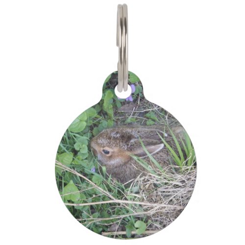 Bunny in Nest Pet ID Tag