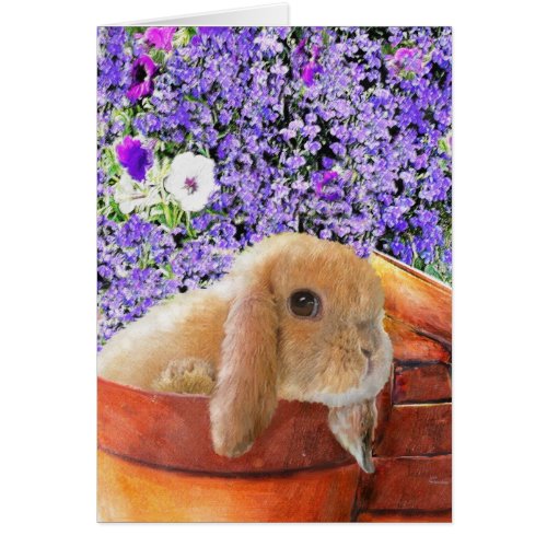 bunny in the flowerpots card