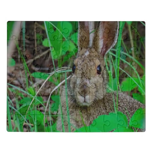 Bunny in the woods jigsaw puzzle