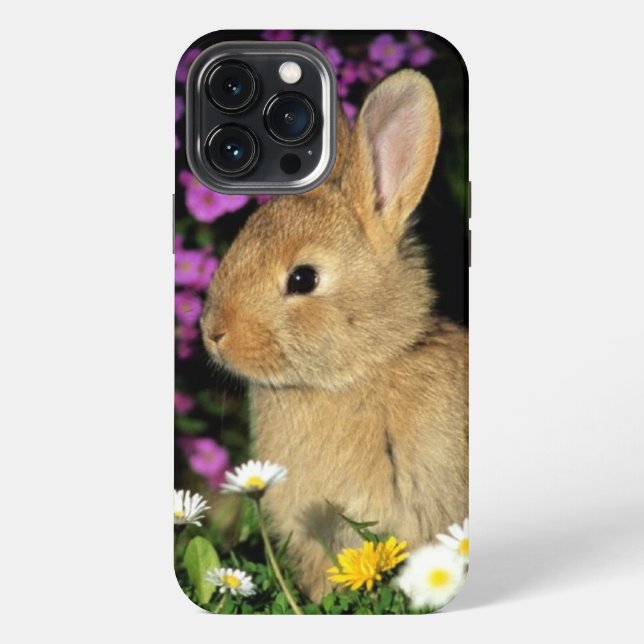 Bunny Iphone Case (Back)