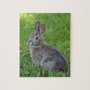 Bunny jigsaw puzzle