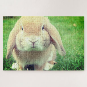 Bunny Jigsaw Puzzle