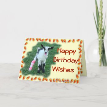 Bunny Kid Goat --customize Any Occasion & Anyone Card by MakaraPhotos at Zazzle