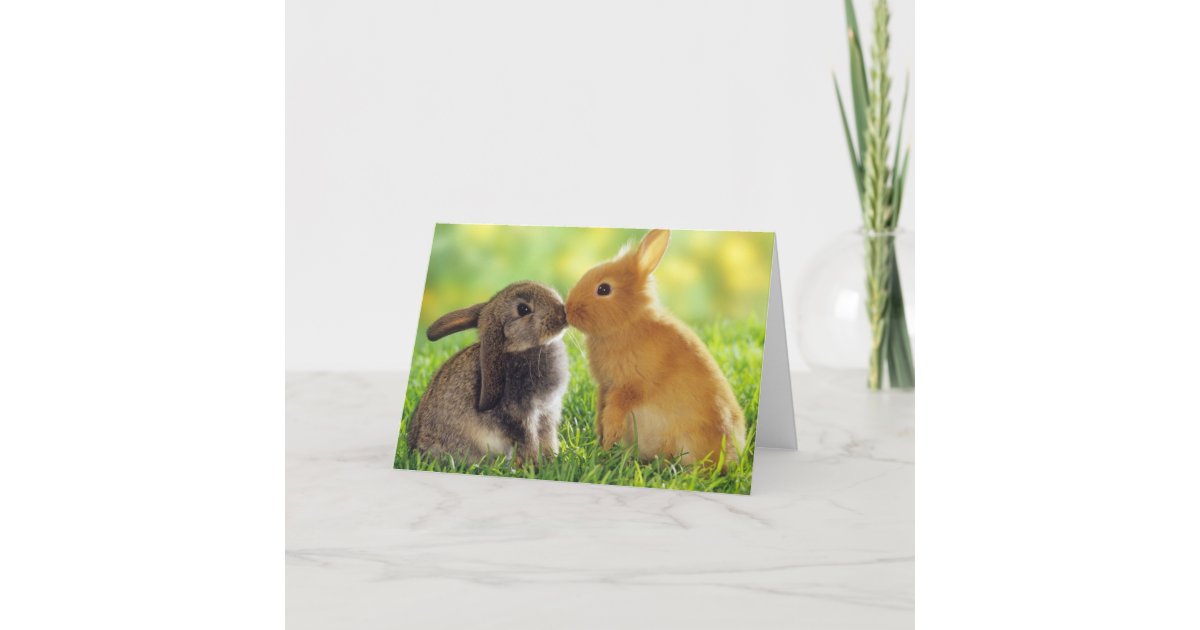 Bunny Kiss Card | Zazzle