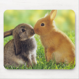 Bunny Kiss Mouse Pad