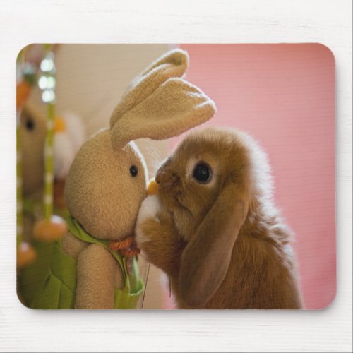 Bunny Kissing Stuffed Toy Bunny Mousepad