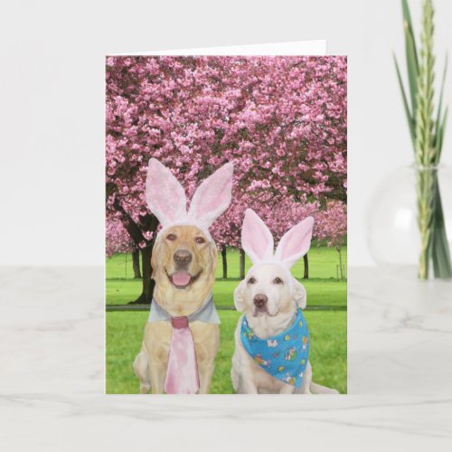 Bunny Labs Holiday Card