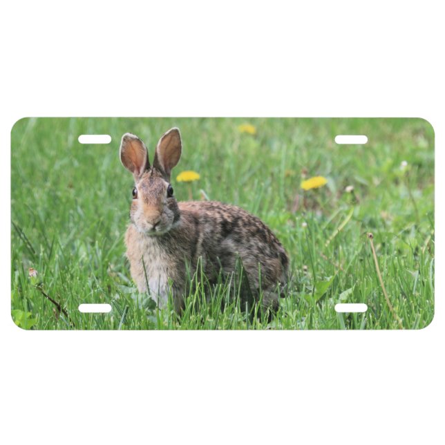 Bunny License Plate (Front)