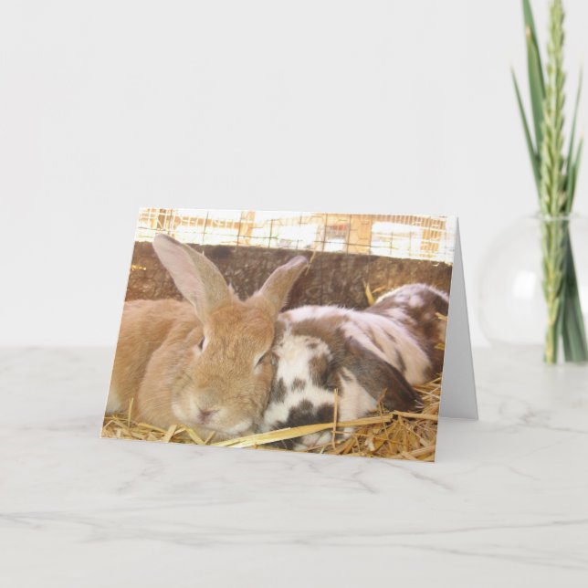 Bunny Love Card (Front)