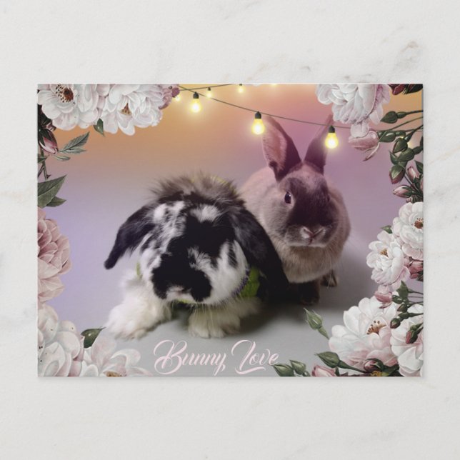 Bunny Love Postcard (Front)