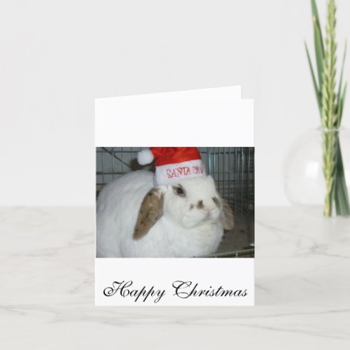 bunny lovers holiday card