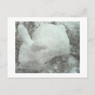 Bunny made of snow! postcard