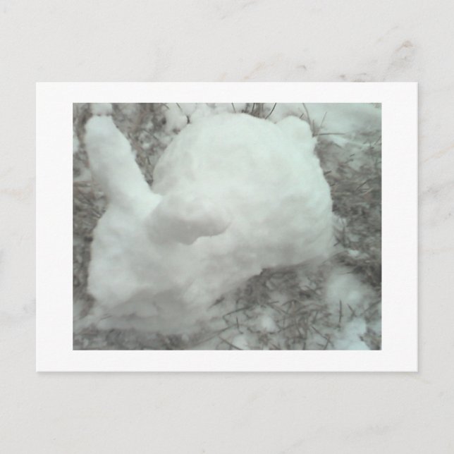 Bunny made of snow! postcard (Front)