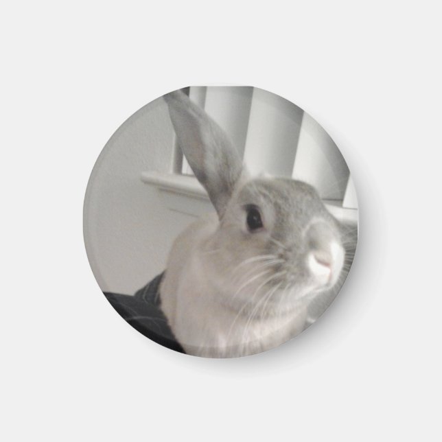 Bunny Magnet (Front)