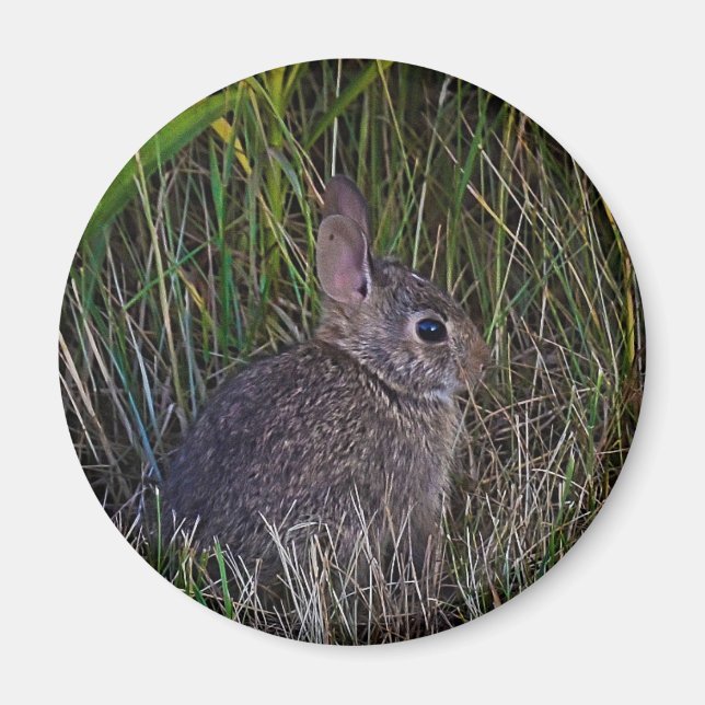 Bunny Magnet (Front)