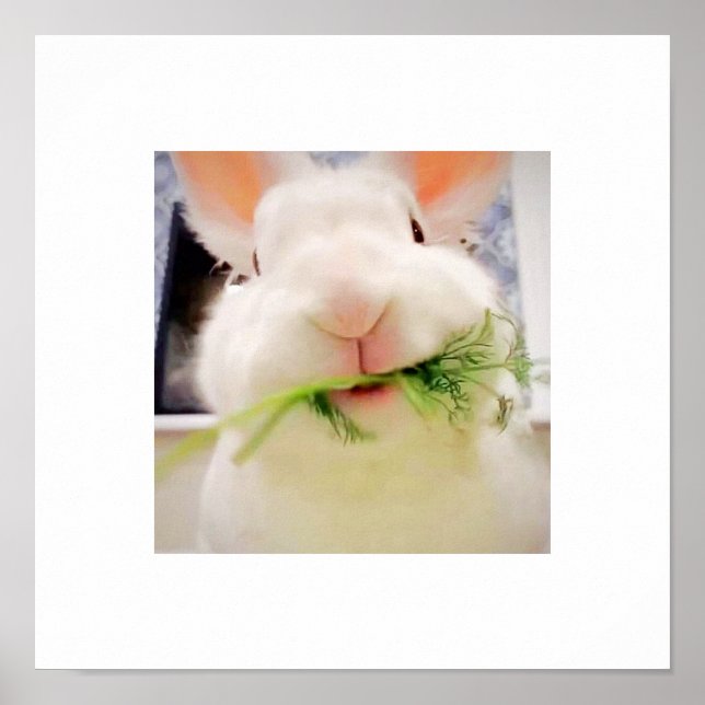 Bunny Munching Poster (Front)