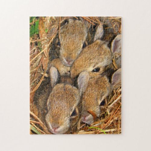 Bunny Nest Jigsaw Puzzle