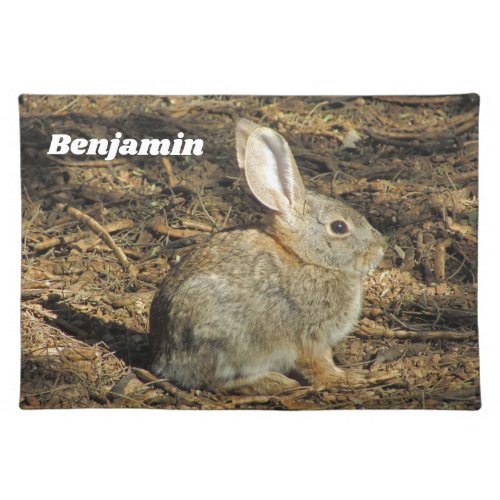 Bunny Photo Adorable Little Rabbit in Sun Animal Cloth Placemat