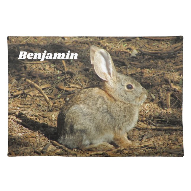 Bunny Photo Adorable Little Rabbit in Sun Animal Cloth Placemat (Front)