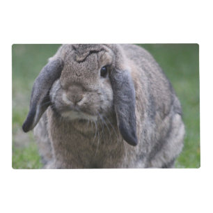 bunny placemat