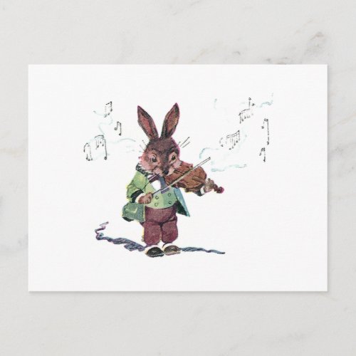 Bunny Playing the Violin Postcard