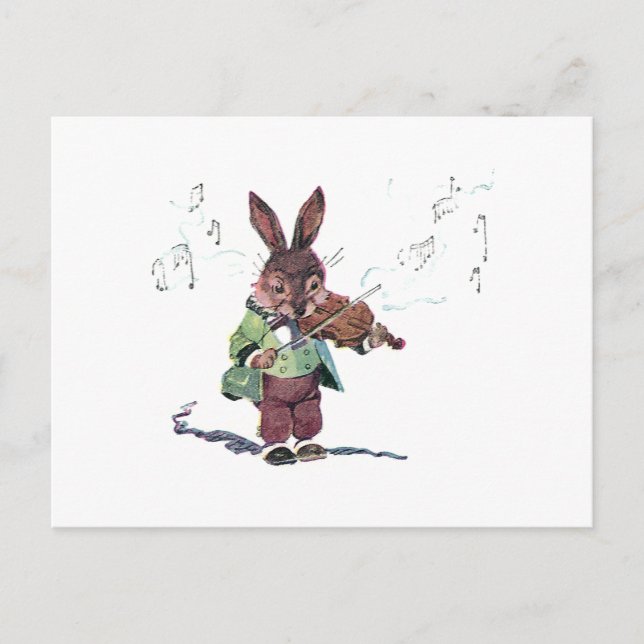 Bunny Playing the Violin Postcard (Front)