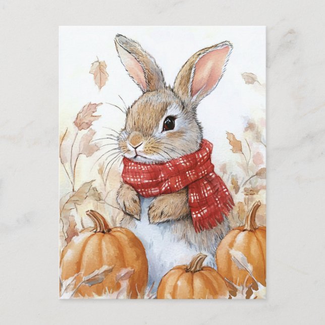 Bunny Rabbit Autumn Pumpkin Illustration Postcard (Front)