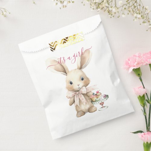 Bunny Rabbit Baby Shower Girl  Favor Bag