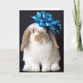 Bunny Rabbit Birthday Greeting Card | Zazzle