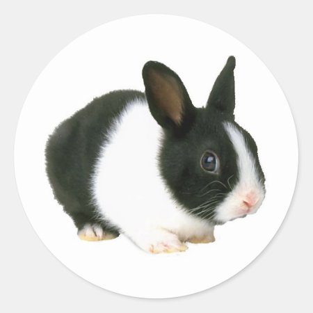 Bunny Rabbit Black & White Classic Round Sticker