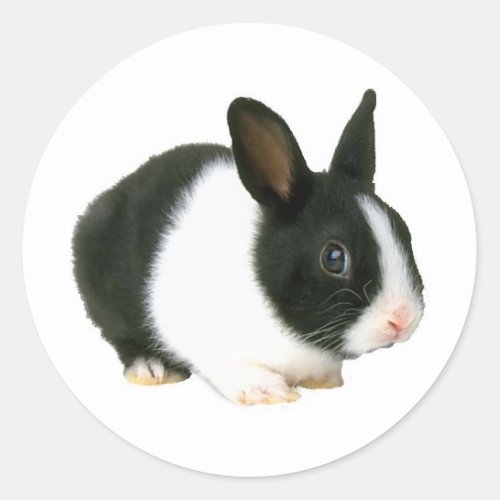 Bunny Rabbit Black  White Classic Round Sticker