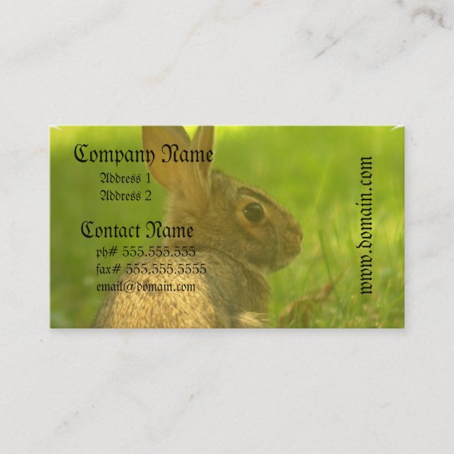 Bunny Rabbit Business Cards (Front)