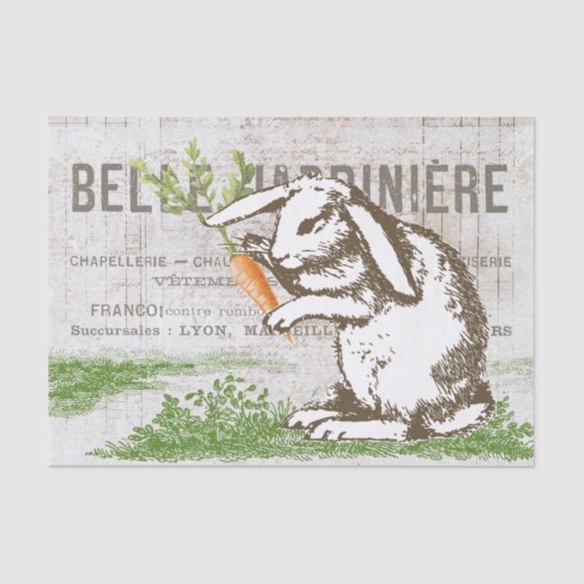 Bunny Rabbit Carrot French Easter Craft Decoupage  Tissue Paper (Front)