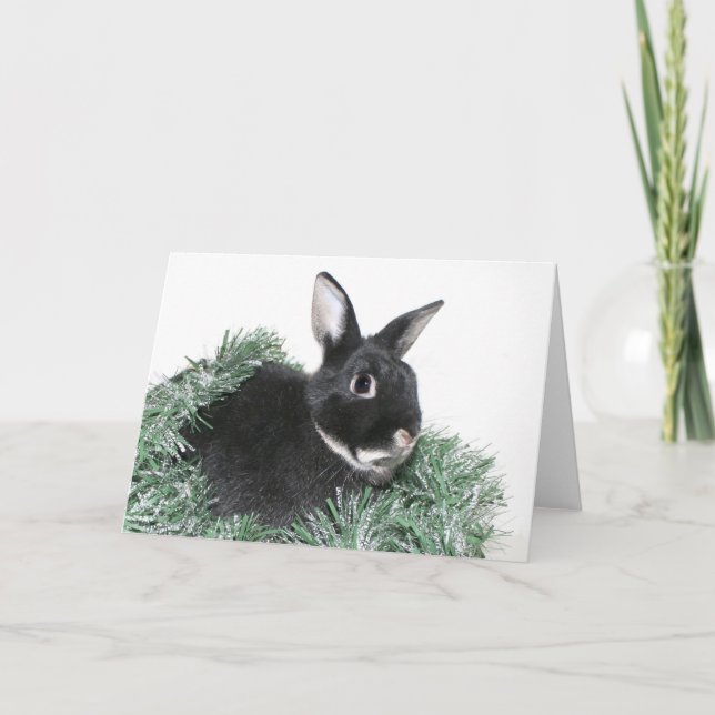 Bunny rabbit Christmas Holiday Card (Front)