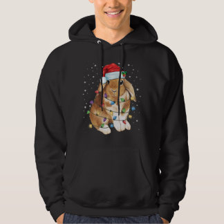 Bunny Rabbit Christmas Lights Santa Hat Funny Xmas Hoodie