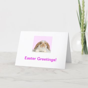 Bunny Rabbit Easter Card by walkandbark at Zazzle