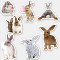 Bunny Rabbit Easter Spring Sticker