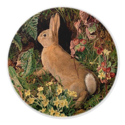 Bunny rabbit flowers ferns vintage woodland spring ceramic knob