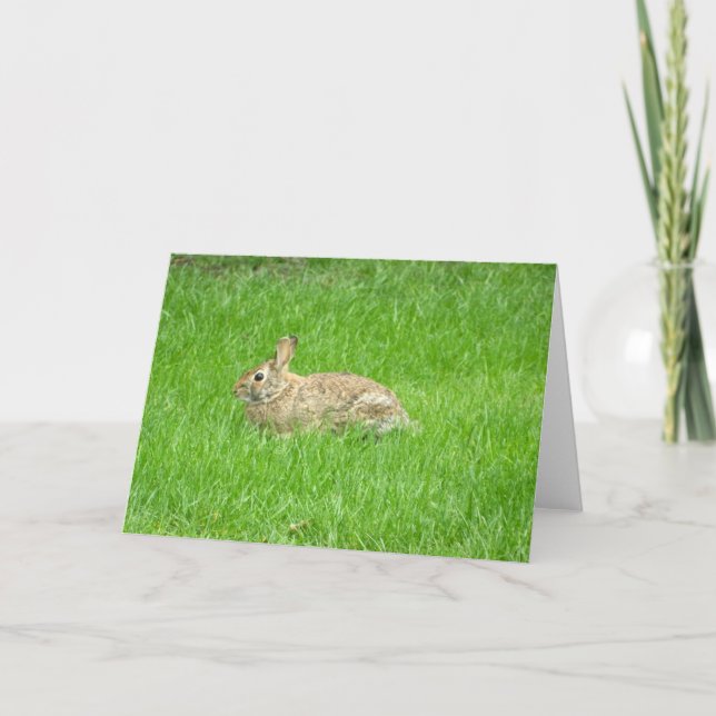 Bunny Rabbit (Green Grass) Greeting Card (Front)
