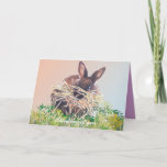 Bunny Rabbit Greeting Cards Birthday, Sympathy