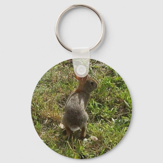 Bunny Rabbit Hare Stuff Keychain (Front)
