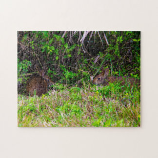 Bunny Rabbit Hare Wetlands Cute Nature Brown Jigsaw Puzzle