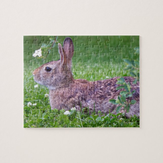Bunny Rabbit in Grass Animal Photography Jigsaw Puzzle (Horizontal)