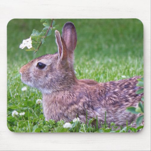 Bunny Rabbit in Grass Animal Photography Mouse Pad