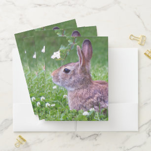 Bunny Rabbit in Grass Spring Animal Photography Pocket Folder